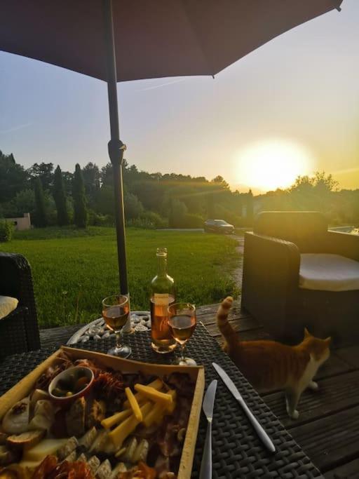Chalet Bois Cosy Avec Piscine Aix Nature Aix-en-Provence Kültér fotó
